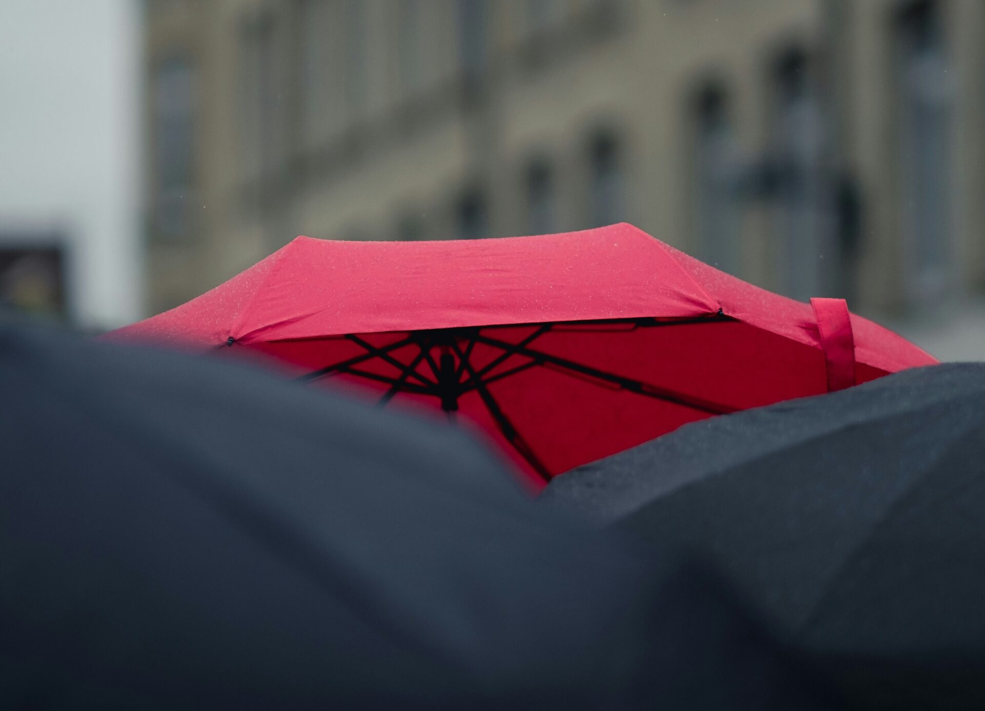 Why Protection Insurance for Dental Professionals Matters